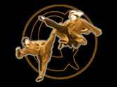 design sample