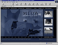 design sample